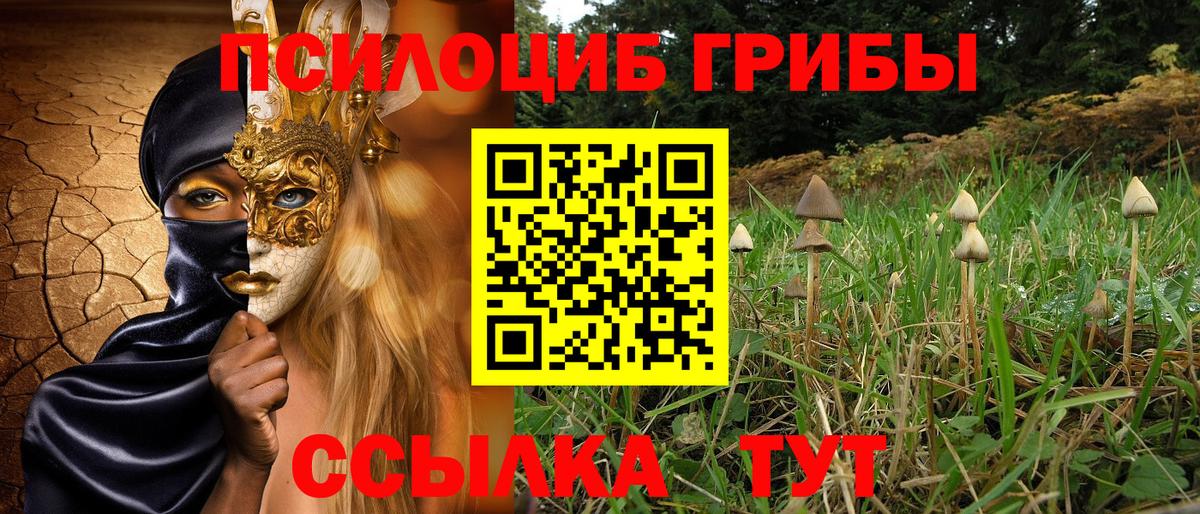 Чистополь  Галлюциногенные грибы мухоморы  Вход с VPN 